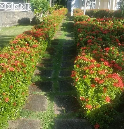 Chill On The Hill Apartment Ocho Rios Exterior photo